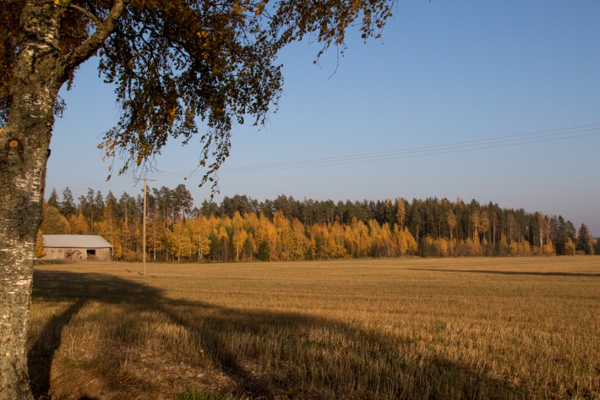 06 ruska.jpg
